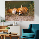 Sleeping Fox Wall Art Canvas Print, Farmhouse Wall Decor and
