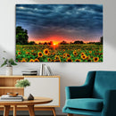 Golden Sunflower Field at Sunset – Breathtaking Sky and