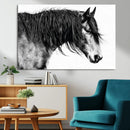Majestic Horse Wall Art – Framed Black White Portrait Canvas by MyGreatCanvas | Canvas Wall Art Prints | Photo Prints & Wall Decor