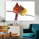Cardinal Bird Canvas Wall Art - Male and Female Cardinal