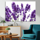 Lavender Flower Wall Art Canvas Print by MyGreatCanvas | Canvas Wall Art Prints | Photo Prints & Wall Decor