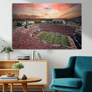 Indiana Memorial Stadium Wall Art Canvas Print, Framed