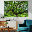 Angel Oak Tree Wall Art Canvas Print – Framed Majestic