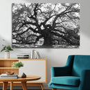 Ancient Oak Wall Art Canvas Print – Gnarled Tree Twisted by MyGreatCanvas | Canvas Wall Art Prints | Photo Prints & Wall Decor