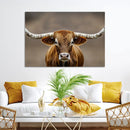 Texas Longhorn Wall Art Canvas Print – Brown Bull Rustic