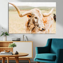 Texas Longhorn Wall Art Canvas Print – Framed Spotted Cow