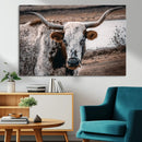 Texas Longhorn Wall Art Canvas Print – Framed Spotted Bull