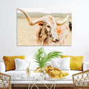 Texas Longhorn Wall Art Canvas Print – Framed Speckled Cow