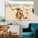 Texas Longhorn Wall Art Canvas Print – Framed Speckled Cow by MyGreatCanvas | Canvas Wall Art Prints | Photo Prints & Wall Decor