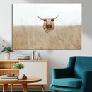 Texas Longhorn Wall Art Canvas Print – Framed Lone Cattle by MyGreatCanvas | Canvas Wall Art Prints | Photo Prints & Wall Decor