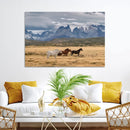 Grand Teton Park Wild Horses Wall Art Canvas Print – Framed