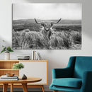 Monochrome Highland Cow Wall Art Canvas Print – Framed by MyGreatCanvas | Canvas Wall Art Prints | Photo Prints & Wall Decor