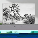 Joshua Tree Wall Art – Black & White Canvas Print, Nature by MyGreatCanvas | Canvas Wall Art Prints | Photo Prints & Wall Decor
