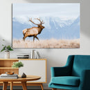 Elk Wall Art Canvas Print – Framed Mountain Wildlife Art by MyGreatCanvas | Canvas Wall Art Prints | Photo Prints & Wall Decor