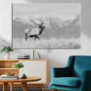 Elk Photography Wall Art Canvas Print, Framed Mountain by MyGreatCanvas | Canvas Wall Art Prints | Photo Prints & Wall Decor
