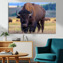 Bison Photography Wall Art Canvas Print – Framed Rustic by MyGreatCanvas | Canvas Wall Art Prints | Photo Prints & Wall Decor
