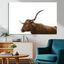 Longhorn Cow Wall Art Canvas Print – Framed Rustic Animal by MyGreatCanvas | Canvas Wall Art Prints | Photo Prints & Wall Decor