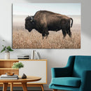 Rustic Bison Decor Wall Art Canvas Print – Framed Buffalo by MyGreatCanvas | Canvas Wall Art Prints | Photo Prints & Wall Decor