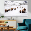 Bison Herd Wall Art Canvas Print – Framed Western Wildlife by MyGreatCanvas | Canvas Wall Art Prints | Photo Prints & Wall Decor