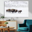 Bison Herd Decor Wall Art Canvas Print – Framed Snowy Bison by MyGreatCanvas | Canvas Wall Art Prints | Photo Prints & Wall Decor