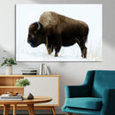 Bison Wall Art Canvas Print – Framed Western Wildlife
