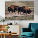 Bison Wall Art Canvas Print – Framed Western Wildlife Modern by MyGreatCanvas | Canvas Wall Art Prints | Photo Prints & Wall Decor