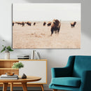 Bison Herd Wall Art Canvas Print – Framed Western Prairie