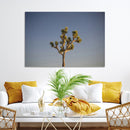 Joshua Tree Wall Art Canvas Print – Framed Southwestern