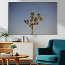 Joshua Tree Wall Art Canvas Print – Framed Southwestern by MyGreatCanvas | Canvas Wall Art Prints | Photo Prints & Wall Decor