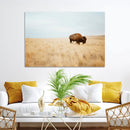 Buffalo Wall Art Canvas Print – Framed Western Wildlife