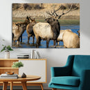 Wild Elk Wall Art Canvas Print – Framed Neutral Wildlife by MyGreatCanvas | Canvas Wall Art Prints | Photo Prints & Wall Decor