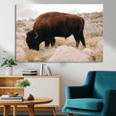 Western Wildlife Wall Art Canvas Print, Majestic Wilderness by MyGreatCanvas | Canvas Wall Art Prints | Photo Prints & Wall Decor