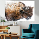 Snowy Buffalo Wall Art Canvas Print – Framed Rustic Lodge by MyGreatCanvas | Canvas Wall Art Prints | Photo Prints & Wall Decor