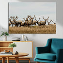 Elk Herd Wall Art Canvas Print – Framed Wildlife Photography by MyGreatCanvas | Canvas Wall Art Prints | Photo Prints & Wall Decor