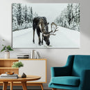 Moose Snow Wall Art Canvas Print – Framed Winter Wildlife