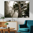 Misty Forest Tall Trees Foggy Atmosphere Nature Serenity by MyGreatCanvas | Canvas Wall Art Prints | Photo Prints & Wall Decor