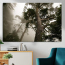 Misty Forest Wall Art Canvas Print, Tall Trees and Foggy by MyGreatCanvas | Canvas Wall Art Prints | Photo Prints & Wall Decor