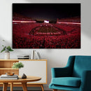 Dooley Stadium Wall Art, Sports Arena Canvas Print, Dooley by MyGreatCanvas | Canvas Wall Art Prints | Photo Prints & Wall Decor