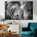 Wild Old Elephant Wall Art Canvas Print