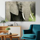 Wild Elephant Wall Art Canvas Print by MyGreatCanvas | Canvas Wall Art Prints | Photo Prints & Wall Decor