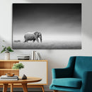 Elephand and Zebra Wall Art Canvas Print, Modern Artwork