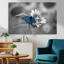 Blue Butterfly Black and White Canvas Wall Art by MyGreatCanvas | Canvas Wall Art Prints | Photo Prints & Wall Decor