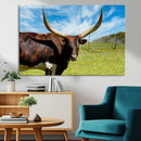 Longhorn and Cow Wall Art, Country Cow Wall Decor Canvas by MyGreatCanvas | Canvas Wall Art Prints | Photo Prints & Wall Decor