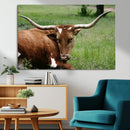 Longhorn Cow Animal Wall Art Canvas Print by MyGreatCanvas | Canvas Wall Art Prints | Photo Prints & Wall Decor