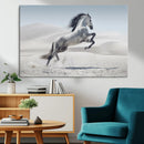 Prancing Horse Desert Large Wall Art Canvas Print – Majestic