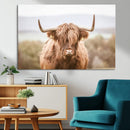 Scottish Serene Highland Cow Canvas Wall Art – Serene