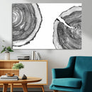 Abstract Large Tree Rings – Minimalist Black and White Wood
