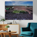 South Carolina Gamecocks Football Team Print - Columbia