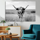 Texas Cow Longhorn Wall Art Canvas Print for Farm House Wall