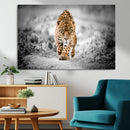 Jaguar Wall Art Canvas Print - Majestic Big Cat in Focused by MyGreatCanvas | Canvas Wall Art Prints | Photo Prints & Wall Decor